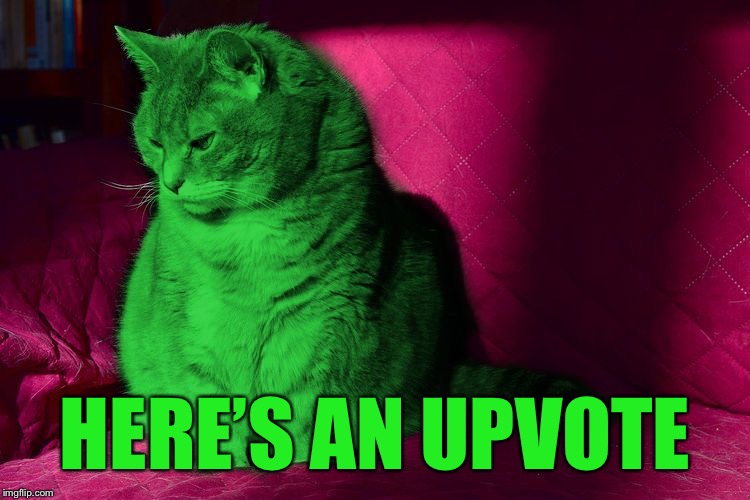 Cantankerous RayCat | HERE’S AN UPVOTE | image tagged in cantankerous raycat | made w/ Imgflip meme maker