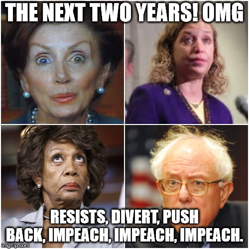 Crazy Democrats | THE NEXT TWO YEARS! OMG; RESISTS, DIVERT, PUSH BACK, IMPEACH, IMPEACH, IMPEACH. | image tagged in crazy democrats | made w/ Imgflip meme maker