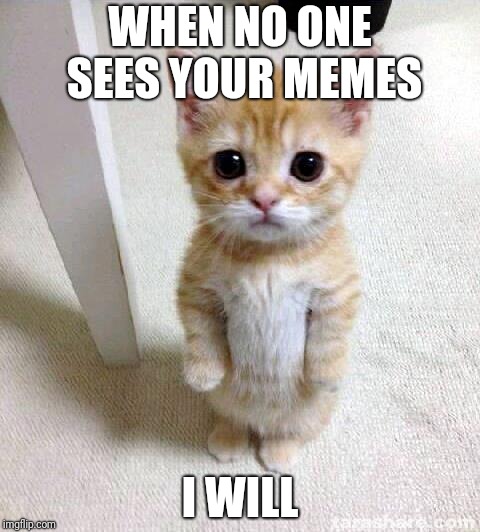Cute Cat | WHEN NO ONE SEES YOUR MEMES; I WILL | image tagged in memes,cute cat | made w/ Imgflip meme maker