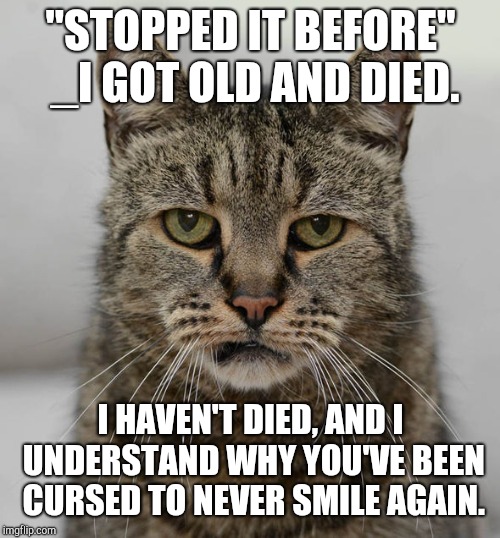 old cat | "STOPPED IT BEFORE" _I GOT OLD AND DIED. I HAVEN'T DIED, AND I UNDERSTAND WHY YOU'VE BEEN CURSED TO NEVER SMILE AGAIN. | image tagged in old cat | made w/ Imgflip meme maker