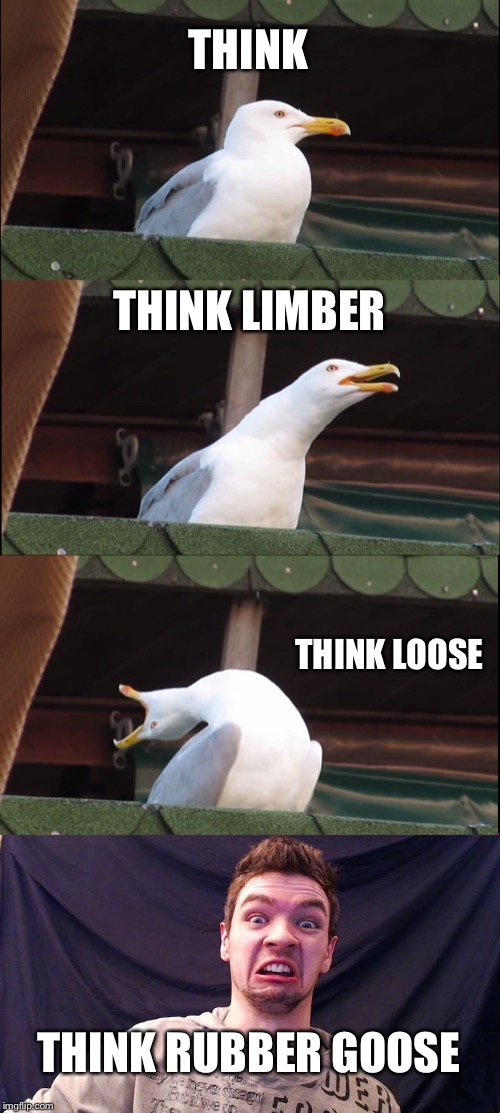 Inhaling Seagull | THINK; THINK LIMBER; THINK LOOSE; THINK RUBBER GOOSE | image tagged in memes,inhaling seagull | made w/ Imgflip meme maker