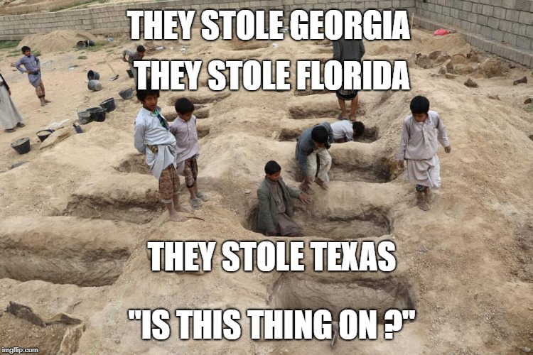 Elections 2018 | THEY STOLE GEORGIA; THEY STOLE FLORIDA; THEY STOLE TEXAS; "IS THIS THING ON ?" | image tagged in trump,treason,florida,texas,georgia,elections | made w/ Imgflip meme maker