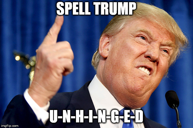 Donald Trump | SPELL TRUMP; U-N-H-I-N-G-E-D | image tagged in donald trump | made w/ Imgflip meme maker