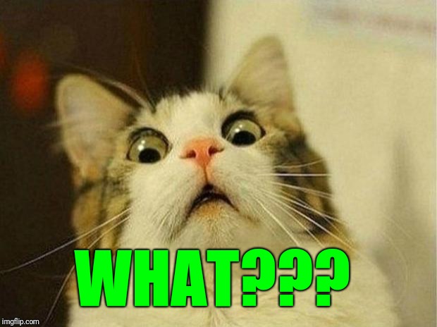 Scared Cat Meme | WHAT??? | image tagged in memes,scared cat | made w/ Imgflip meme maker
