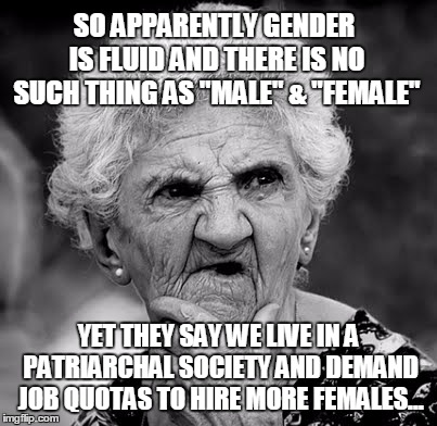Skeptical Old Lady | SO APPARENTLY GENDER IS FLUID AND THERE IS NO SUCH THING AS "MALE" & "FEMALE"; YET THEY SAY WE LIVE IN A PATRIARCHAL SOCIETY AND DEMAND JOB QUOTAS TO HIRE MORE FEMALES... | image tagged in skeptical old lady | made w/ Imgflip meme maker