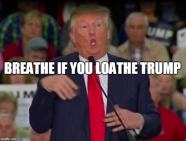 BREATHE IF YOU LOATHE TRUMP | image tagged in trump,donald trump | made w/ Imgflip meme maker