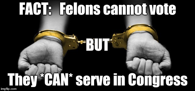 Congress Felon True Fact - Google It | FACT:   Felons cannot vote; BUT; They *CAN* serve in Congress | image tagged in vote,congress,jail,fact,politics,political meme | made w/ Imgflip meme maker