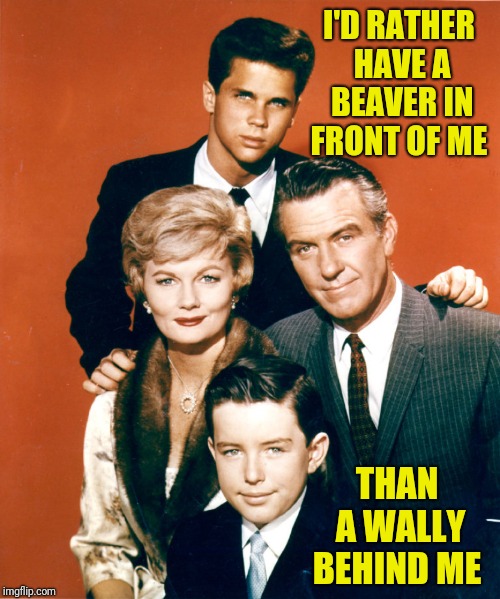 Ward, why are your pants Lumpy? | I'D RATHER HAVE A BEAVER IN FRONT OF ME; THAN A WALLY BEHIND ME | image tagged in leave it to beaver,the cleavers,ward cleaver,wally cleaver,beaver cleaver,june cleaver | made w/ Imgflip meme maker