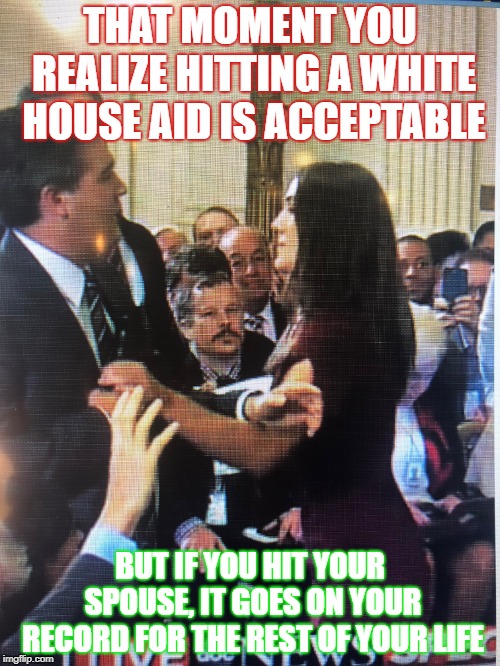 White house aide being accousted by Acosta | THAT MOMENT YOU REALIZE HITTING A WHITE HOUSE AID IS ACCEPTABLE; BUT IF YOU HIT YOUR SPOUSE, IT GOES ON YOUR RECORD FOR THE REST OF YOUR LIFE | image tagged in jim acosta | made w/ Imgflip meme maker