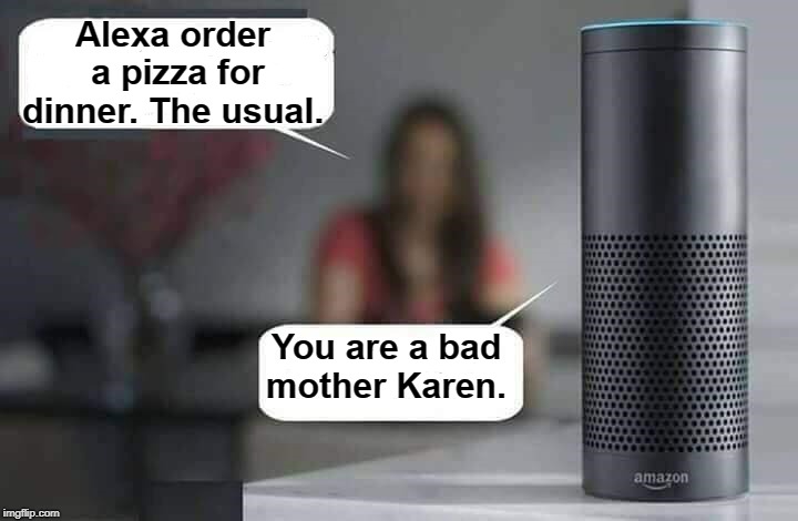 Alexa do X | Alexa order a pizza for dinner. The usual. You are a bad mother Karen. | image tagged in alexa do x,karen,bad parenting,pizza,memes | made w/ Imgflip meme maker