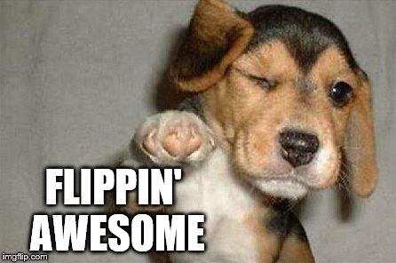 Awesome Dog | FLIPPIN' AWESOME | image tagged in awesome dog | made w/ Imgflip meme maker