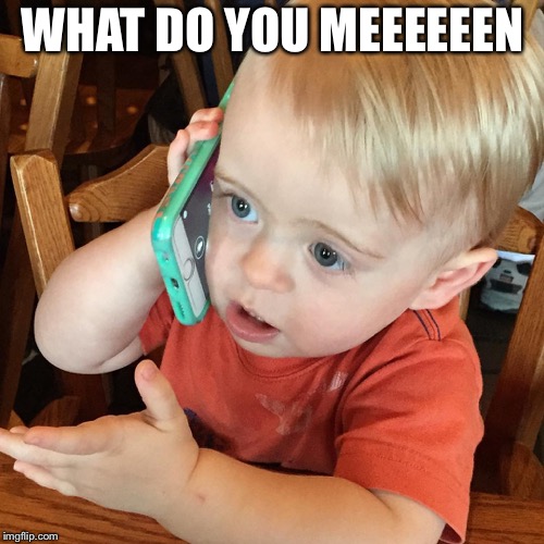 WHAT DO YOU MEEEEEEN | image tagged in what do you mean | made w/ Imgflip meme maker