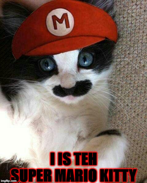 SUPER MARIO KITTY; I IS TEH | image tagged in super mario cat | made w/ Imgflip meme maker