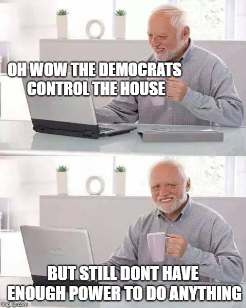 Hide the Pain Harold | OH WOW THE DEMOCRATS CONTROL THE HOUSE; BUT STILL DONT HAVE ENOUGH POWER TO DO ANYTHING | image tagged in memes,hide the pain harold | made w/ Imgflip meme maker