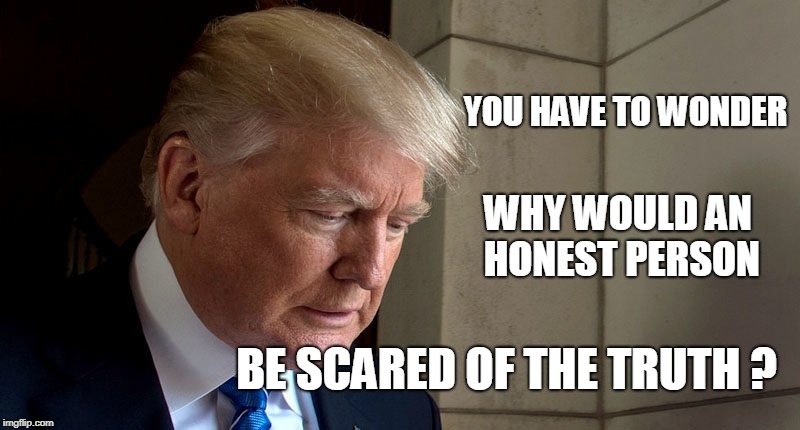 YOU HAVE TO WONDER; WHY WOULD AN HONEST PERSON; BE SCARED OF THE TRUTH ? | image tagged in trump | made w/ Imgflip meme maker