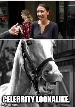 A horse is a horse... | CELEBRITY LOOKALIKE. | image tagged in alexandria ocasio-cortez | made w/ Imgflip meme maker