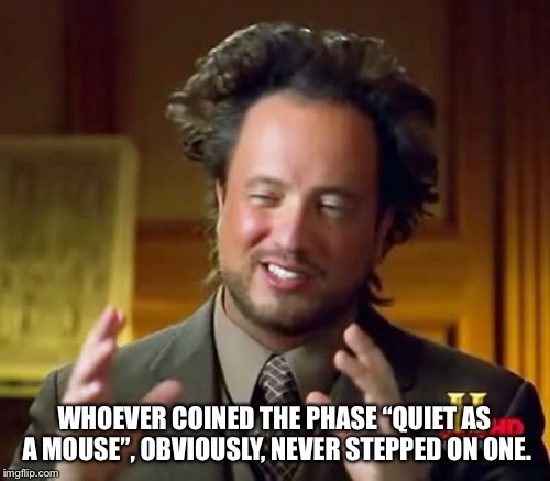 Ancient Aliens | WHOEVER COINED THE PHASE “QUIET AS A MOUSE”, OBVIOUSLY, NEVER STEPPED ON ONE. | image tagged in memes,ancient aliens | made w/ Imgflip meme maker