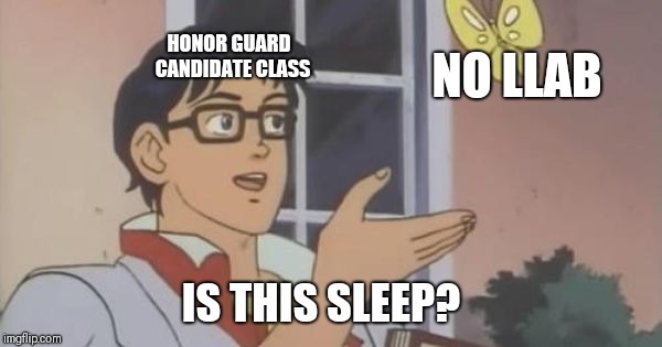 Is This a Pigeon | NO LLAB; HONOR GUARD 
CANDIDATE CLASS; IS THIS SLEEP? | image tagged in is this a pigeon | made w/ Imgflip meme maker