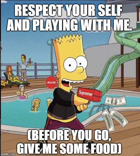 Respect and let it go | RESPECT YOUR SELF AND PLAYING WITH ME. (BEFORE YOU GO, GIVE ME SOME FOOD) | image tagged in hello my name is | made w/ Imgflip meme maker