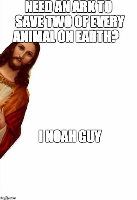 Jesus peek | NEED AN ARK TO SAVE TWO OF EVERY ANIMAL ON EARTH? I NOAH GUY | image tagged in jesus peek | made w/ Imgflip meme maker