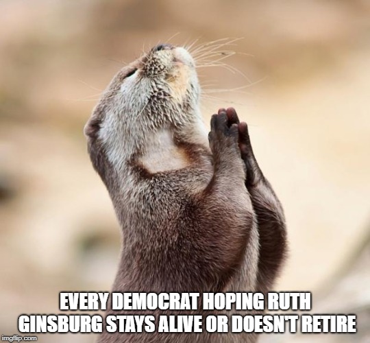 animal praying | EVERY DEMOCRAT HOPING RUTH GINSBURG STAYS ALIVE OR DOESN'T RETIRE | image tagged in animal praying | made w/ Imgflip meme maker