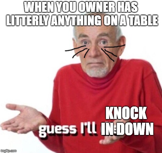 guess ill die | WHEN YOU OWNER HAS LITTERLY ANYTHING ON A TABLE; KNOCK IN DOWN | image tagged in guess ill die | made w/ Imgflip meme maker
