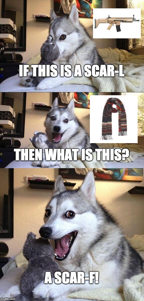 Get it? A Scar-F? A Scarf? No? Okay... | IF THIS IS A SCAR-L; THEN WHAT IS THIS? A SCAR-F! | image tagged in memes,bad pun dog,pubg,gaming | made w/ Imgflip meme maker