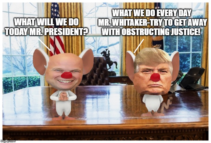 THE VERY SMART GENIUS... | WHAT WE DO EVERY DAY MR. WHITAKER-TRY TO GET AWAY WITH OBSTRUCTING JUSTICE! WHAT WILL WE DO TODAY MR. PRESIDENT? | image tagged in president trump,obstruction,crook,attorney general,cheat | made w/ Imgflip meme maker