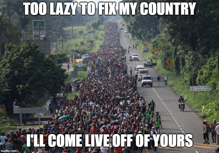 Migrant Caravan | TOO LAZY TO FIX MY COUNTRY; I'LL COME LIVE OFF OF YOURS | image tagged in migrant caravan | made w/ Imgflip meme maker