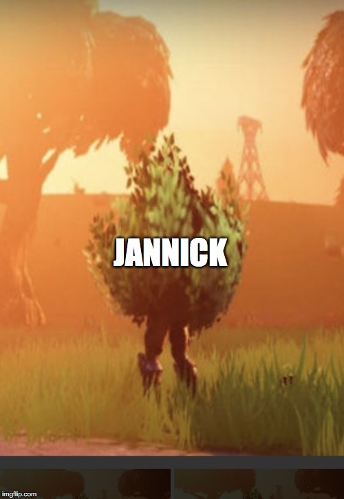 Fortnite bush | JANNICK | image tagged in fortnite bush | made w/ Imgflip meme maker