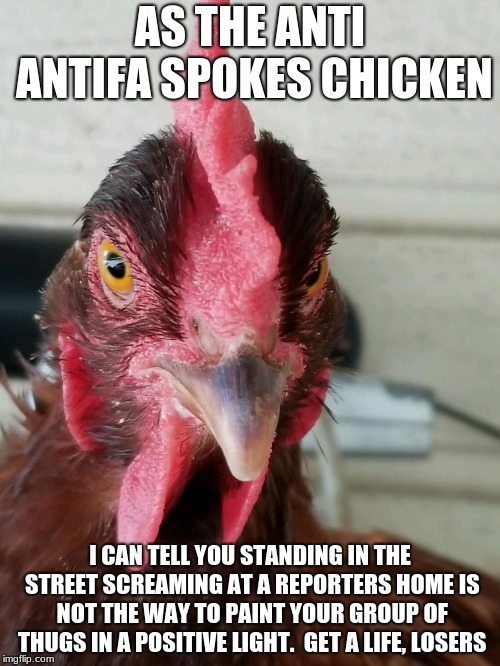 Anti antifa spokes chicken calls antifa thugs losers | AS THE ANTI ANTIFA SPOKES CHICKEN; I CAN TELL YOU STANDING IN THE STREET SCREAMING AT A REPORTERS HOME IS NOT THE WAY TO PAINT YOUR GROUP OF THUGS IN A POSITIVE LIGHT.  GET A LIFE, LOSERS | image tagged in anti antifa spokes chicken,antifa thugs,antifa losers,thugs | made w/ Imgflip meme maker
