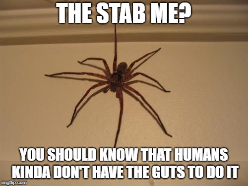 Scumbag Spider | THE STAB ME? YOU SHOULD KNOW THAT HUMANS KINDA DON'T HAVE THE GUTS TO DO IT | image tagged in scumbag spider | made w/ Imgflip meme maker
