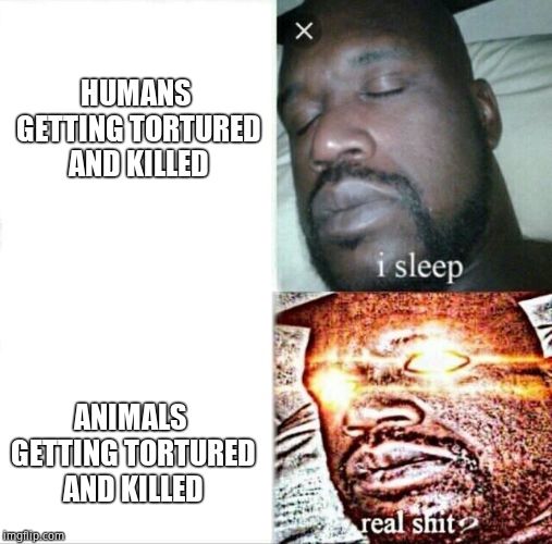 Sleeping Shaq Meme | HUMANS GETTING TORTURED AND KILLED; ANIMALS GETTING TORTURED AND KILLED | image tagged in memes,sleeping shaq | made w/ Imgflip meme maker