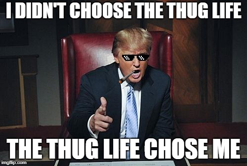 Donald Trump You're Fired | I DIDN'T CHOOSE THE THUG LIFE; THE THUG LIFE CHOSE ME | image tagged in donald trump you're fired,donald trump,trump,donald trump thug life,thug life | made w/ Imgflip meme maker