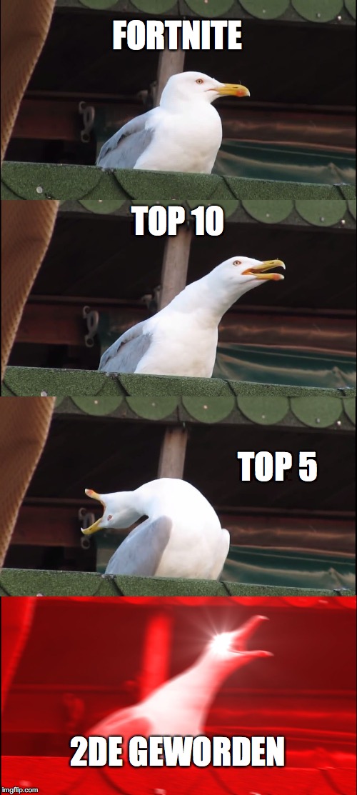 Boze meeuw
 | FORTNITE; TOP 10; TOP 5; 2DE GEWORDEN | image tagged in memes,inhaling seagull | made w/ Imgflip meme maker