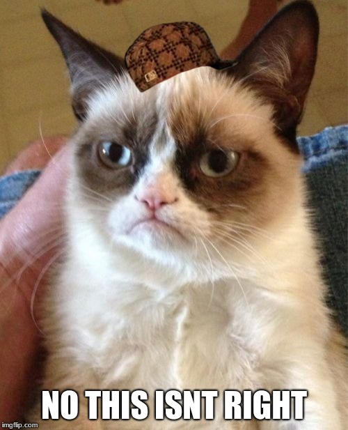 Grumpy Cat | NO THIS ISNT RIGHT | image tagged in memes,grumpy cat,scumbag | made w/ Imgflip meme maker