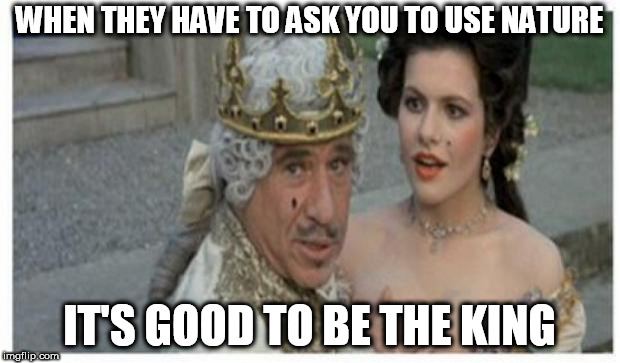 Marijuana legislation | WHEN THEY HAVE TO ASK YOU TO USE NATURE; IT'S GOOD TO BE THE KING | image tagged in mel brooks king,please sir,may we use our freedom | made w/ Imgflip meme maker