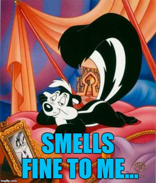 Pepe Le Pew | SMELLS FINE TO ME... | image tagged in pepe le pew | made w/ Imgflip meme maker