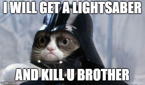 Grumpy Cat Star Wars Meme | I WILL GET A LIGHTSABER AND KILL U BROTHER | image tagged in memes,grumpy cat star wars,grumpy cat | made w/ Imgflip meme maker