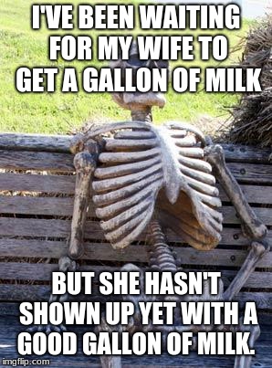 Waiting Skeleton | I'VE BEEN WAITING FOR MY WIFE TO GET A GALLON OF MILK; BUT SHE HASN'T SHOWN UP YET WITH A GOOD GALLON OF MILK. | image tagged in memes,waiting skeleton | made w/ Imgflip meme maker