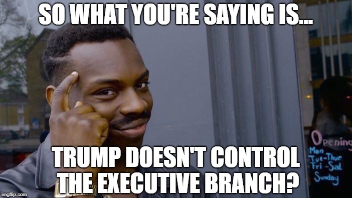 Roll Safe Think About It Meme | SO WHAT YOU'RE SAYING IS... TRUMP DOESN'T CONTROL THE EXECUTIVE BRANCH? | image tagged in memes,roll safe think about it | made w/ Imgflip meme maker