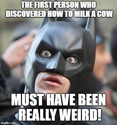 Shocked Batman | THE FIRST PERSON WHO DISCOVERED HOW TO MILK A COW; MUST HAVE BEEN REALLY WEIRD! | image tagged in shocked batman,lmao,funny memes,lmfao,weird | made w/ Imgflip meme maker