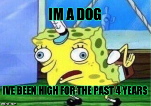 Mocking Spongebob | IM A DOG; IVE BEEN HIGH FOR THE PAST 4 YEARS | image tagged in memes,mocking spongebob | made w/ Imgflip meme maker