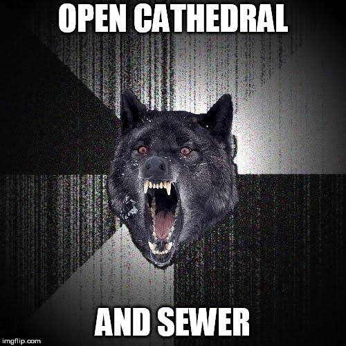 Insanity Wolf Meme | OPEN CATHEDRAL; AND SEWER | image tagged in memes,insanity wolf | made w/ Imgflip meme maker