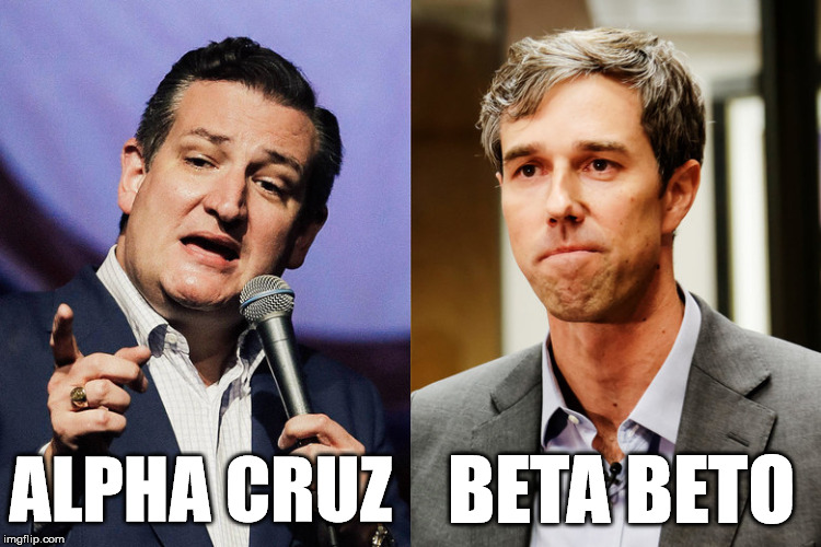 Cruz vs Beto | BETA BETO; ALPHA CRUZ | image tagged in cruz vs beto,ted cruz,beto,winner,loser | made w/ Imgflip meme maker