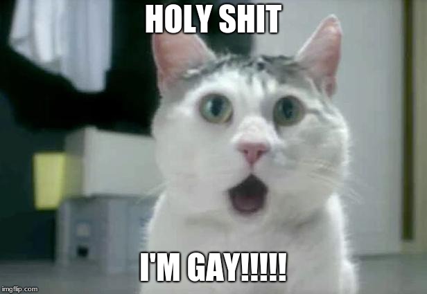 OMG Cat | HOLY SHIT; I'M GAY!!!!! | image tagged in memes,omg cat | made w/ Imgflip meme maker