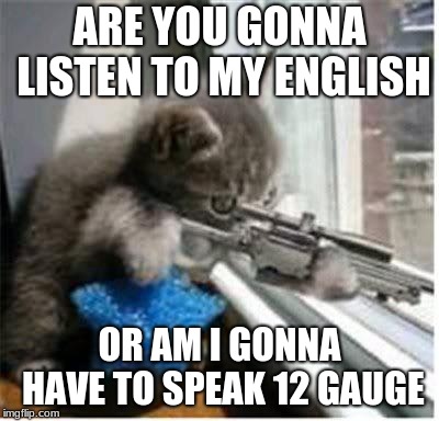 cats with guns | ARE YOU GONNA LISTEN TO MY ENGLISH; OR AM I GONNA HAVE TO SPEAK 12 GAUGE | image tagged in cats with guns | made w/ Imgflip meme maker