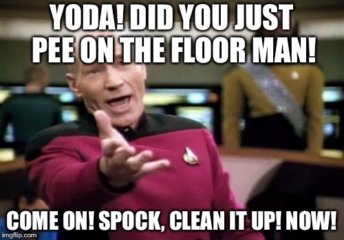 Picard Wtf | YODA! DID YOU JUST PEE ON THE FLOOR MAN! COME ON! SPOCK, CLEAN IT UP! NOW! | image tagged in memes,picard wtf | made w/ Imgflip meme maker