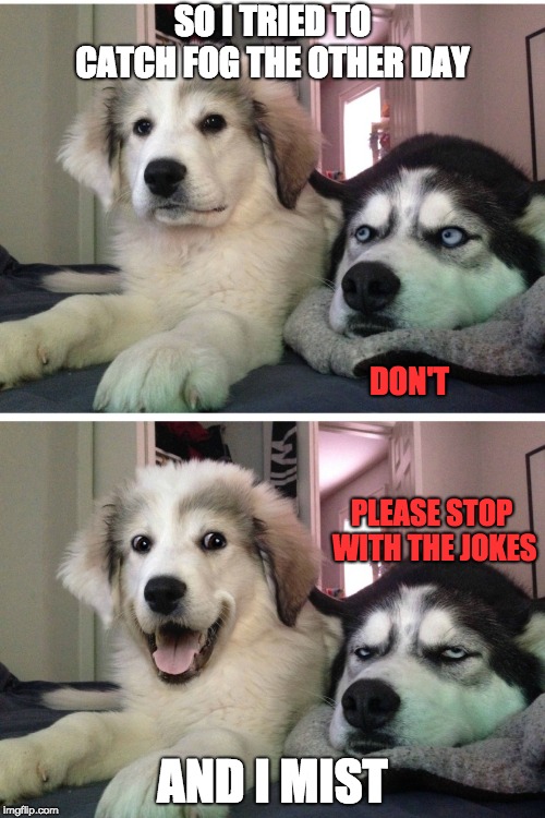 Bad pun dogs | SO I TRIED TO CATCH FOG THE OTHER DAY; DON'T; PLEASE STOP WITH THE JOKES; AND I MIST | image tagged in bad pun dogs | made w/ Imgflip meme maker