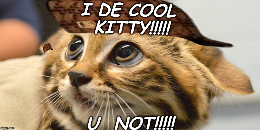 cool cat memes | I DE COOL KITTY!!!!! U  NOT!!!!! | image tagged in luigi death stare | made w/ Imgflip meme maker